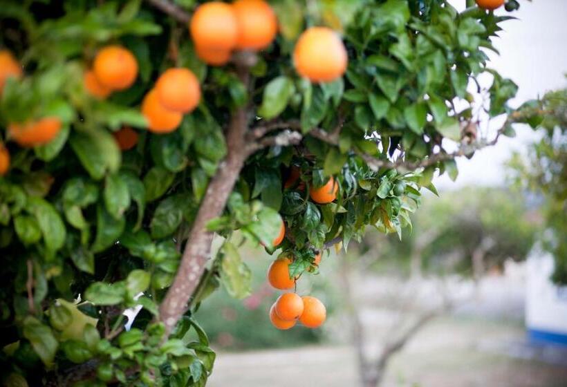 Отель Monte Dos Parvos