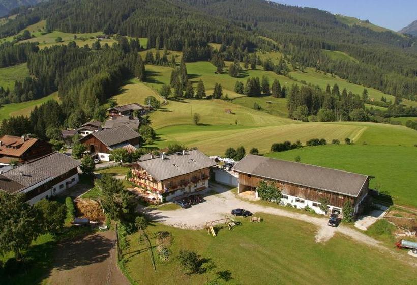 فندق Paulingbauer