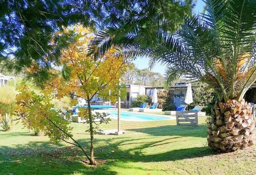 La Bonita Suites Punta Colorada