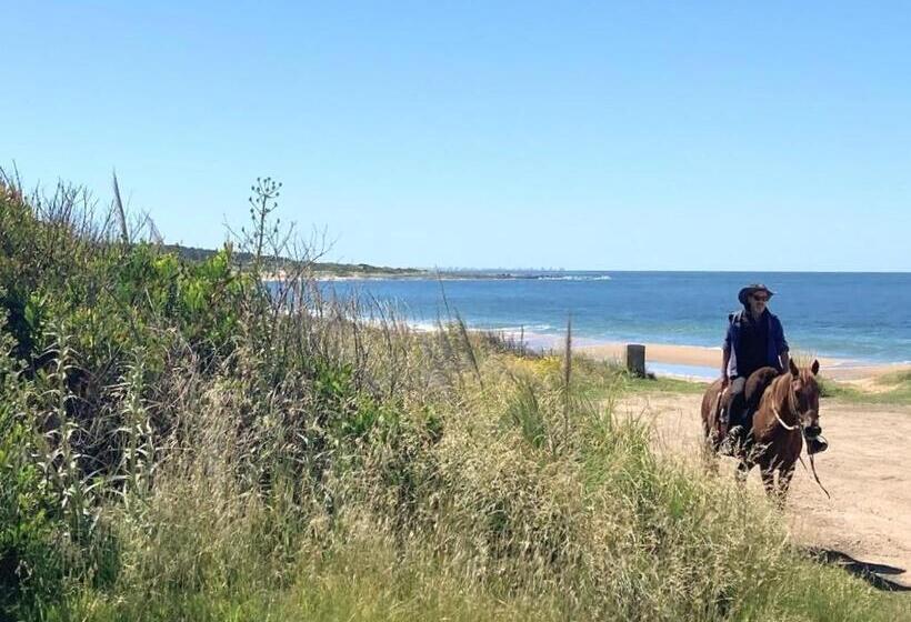 La Bonita Suites Punta Colorada