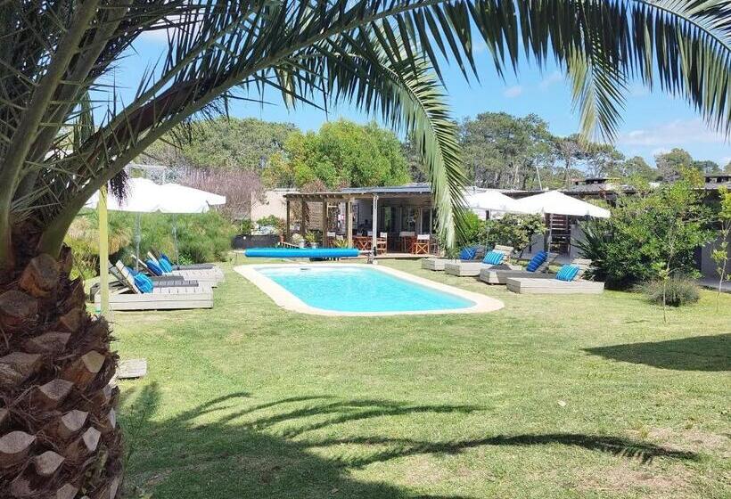 La Bonita Suites Punta Colorada