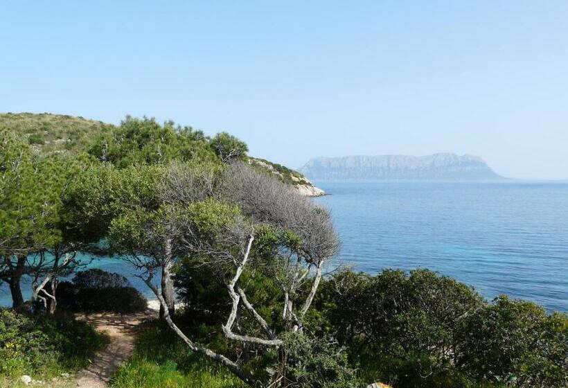 Пансион Affittacamere Il Laghetto