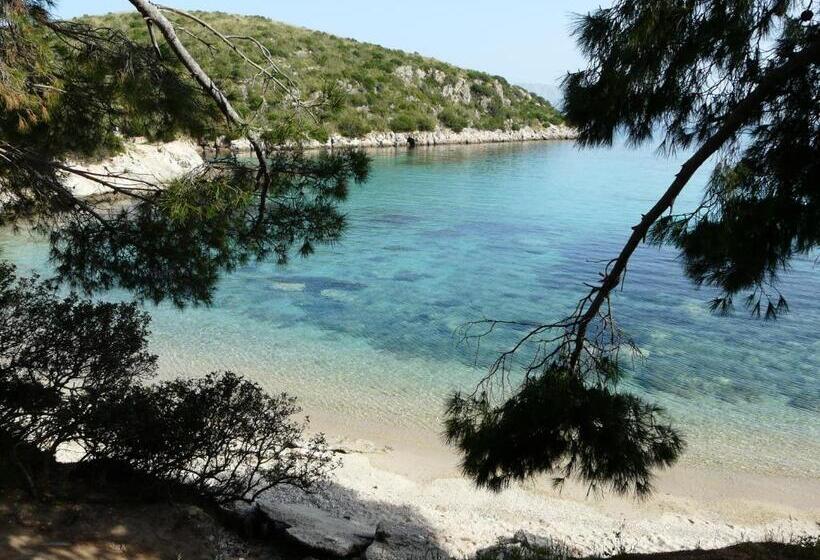 بنسيون Affittacamere Il Laghetto