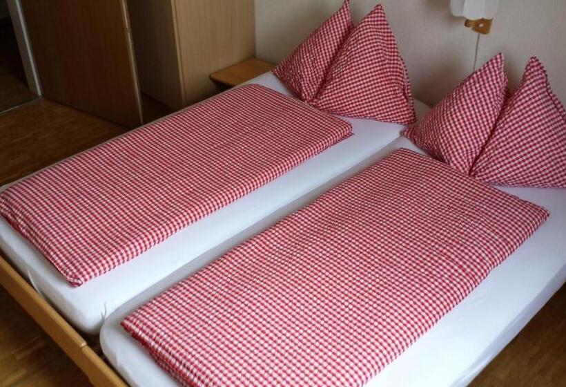 Пансион Berggasthaus Tannalp