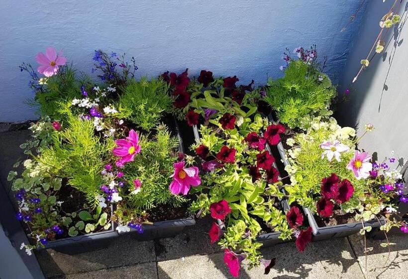 Пансион Braeside Guest Rooms