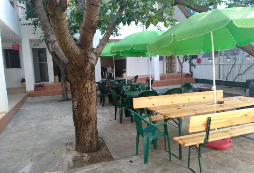 بنسيون Apartamente Pinciuc Costinesti