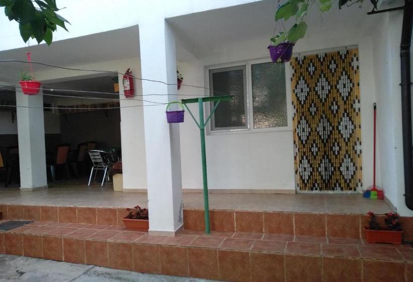 بنسيون Apartamente Pinciuc Costinesti