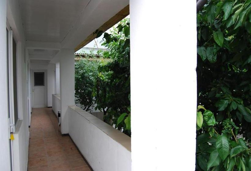 بنسيون Apartamente Pinciuc Costinesti