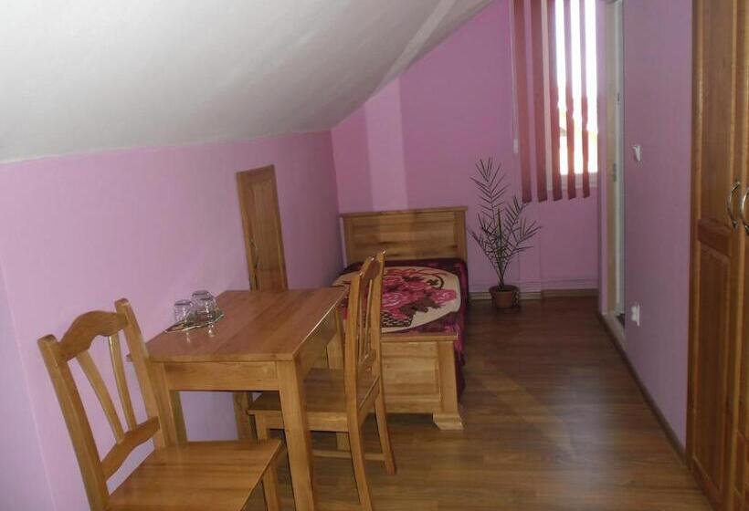 Пансион Casa Sidor