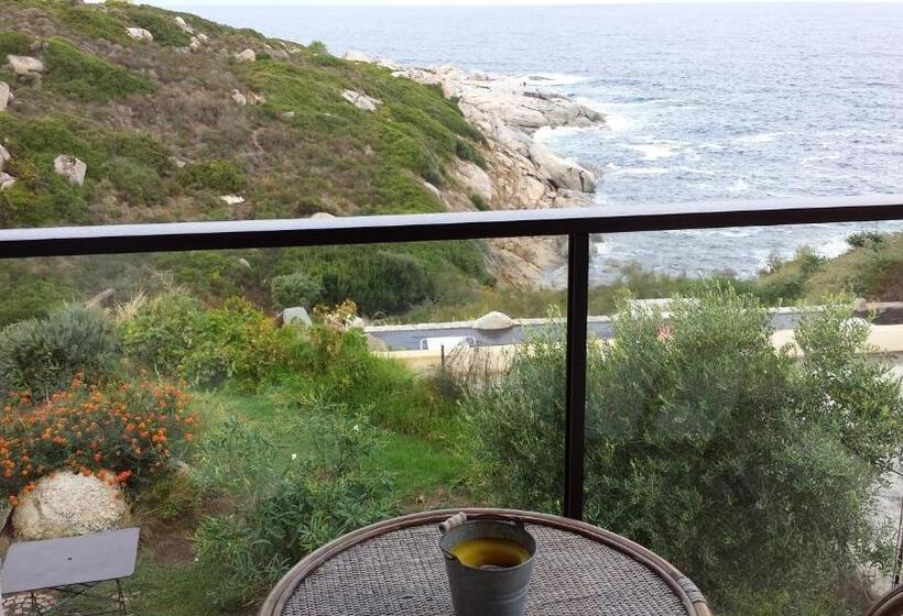 פנסיון Castelia