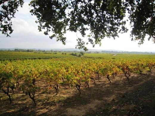 بنسيون Chateau Du Comte