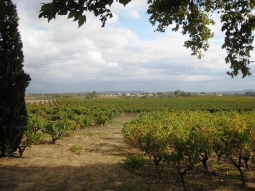 بنسيون Chateau Du Comte