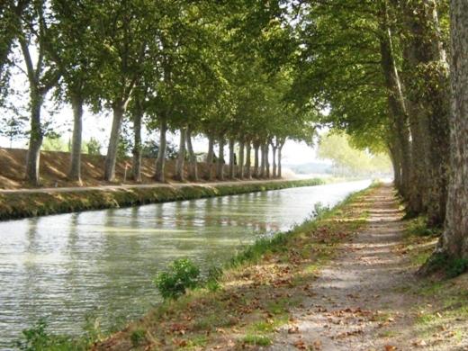 بنسيون Chateau Du Comte