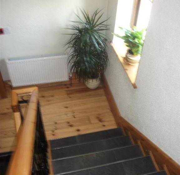 ペンション Clare Street B&b