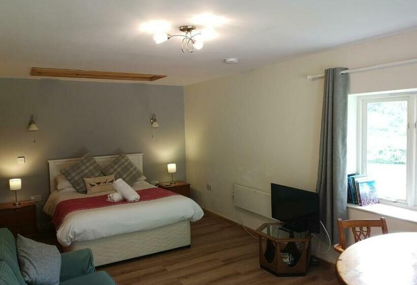 פנסיון Glyndwr Vineyard