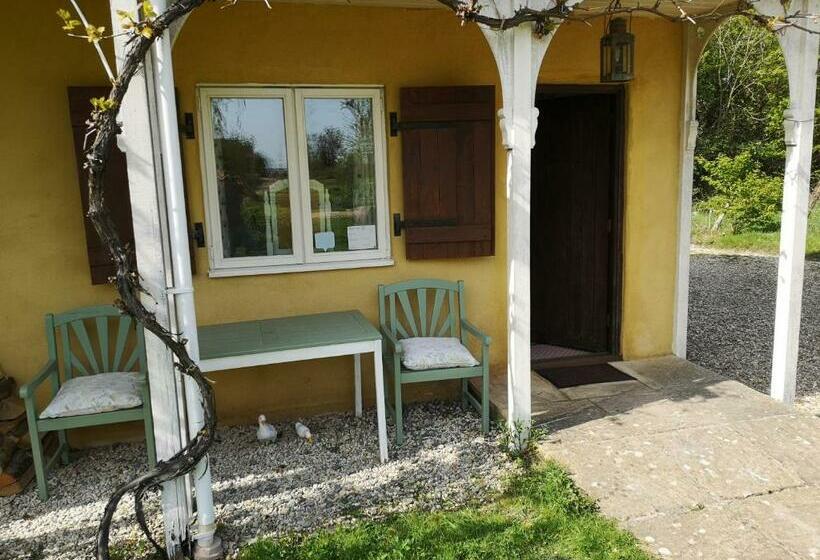 פנסיון Glyndwr Vineyard