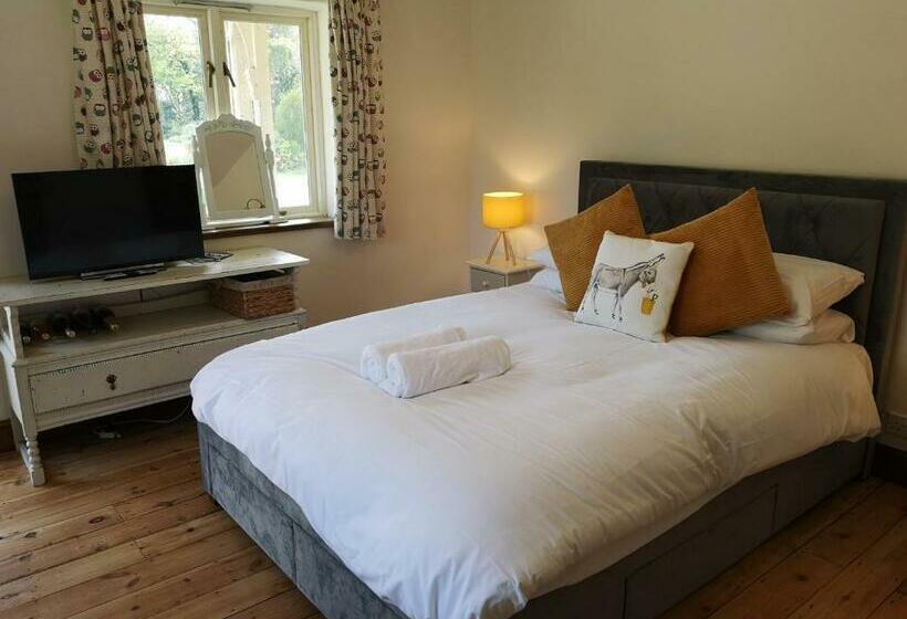 פנסיון Glyndwr Vineyard