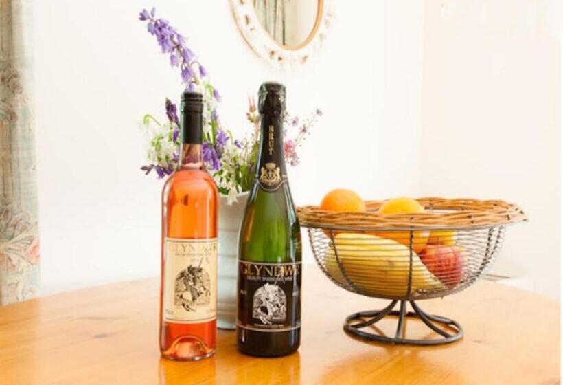 פנסיון Glyndwr Vineyard