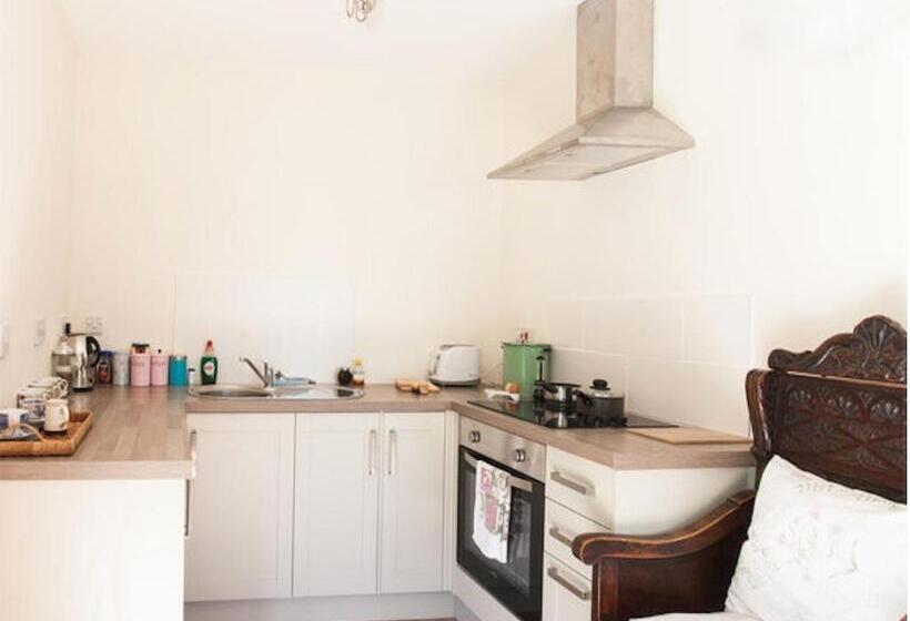 פנסיון Glyndwr Vineyard