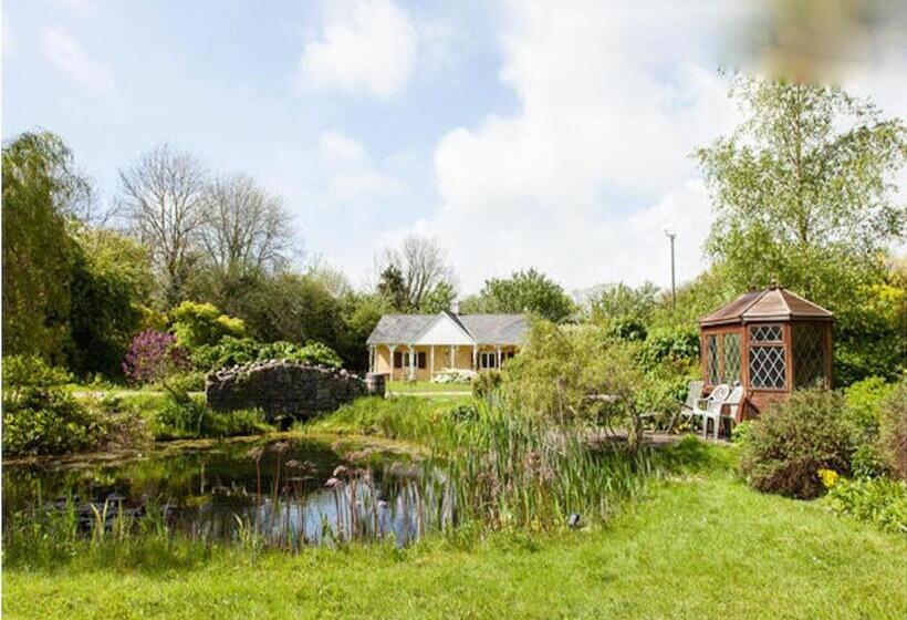 פנסיון Glyndwr Vineyard