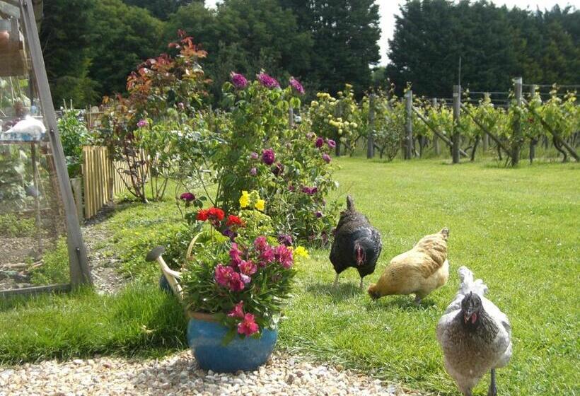 פנסיון Glyndwr Vineyard