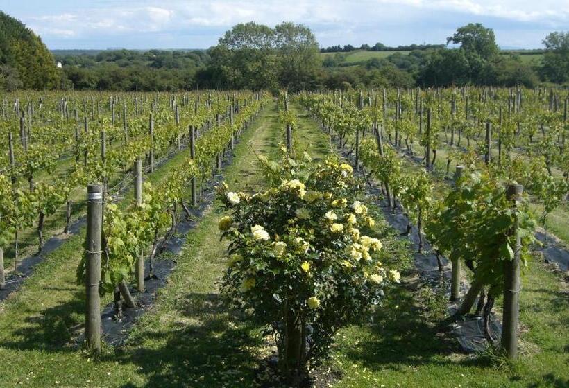 פנסיון Glyndwr Vineyard