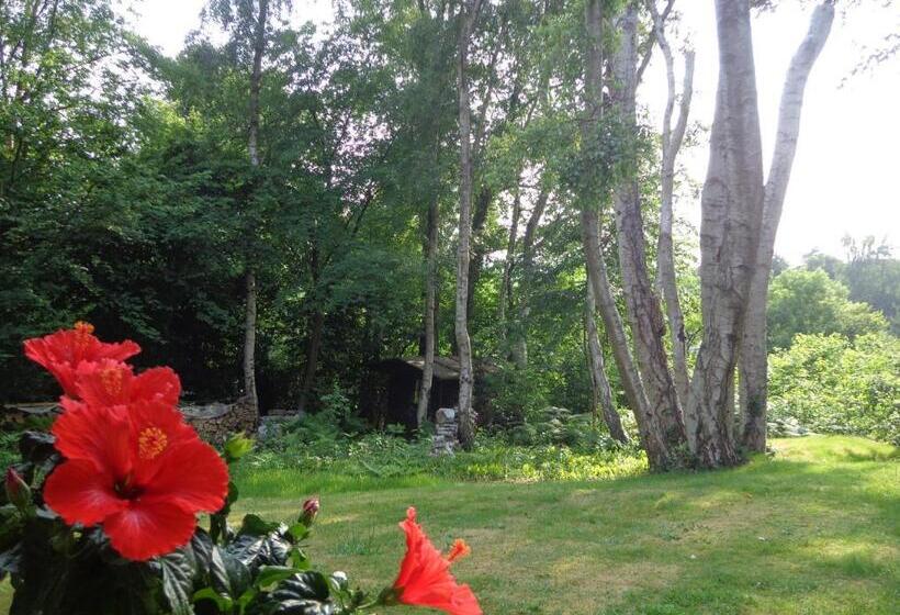 膳宿费 Green Hill Guest House And Apartment