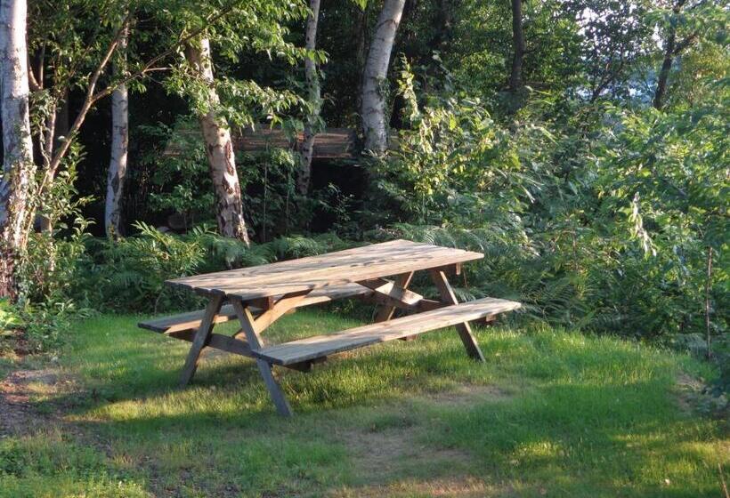 膳宿费 Green Hill Guest House And Apartment