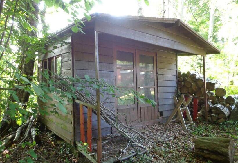 膳宿费 Green Hill Guest House And Apartment