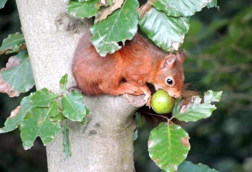 膳宿费 Green Hill Guest House And Apartment