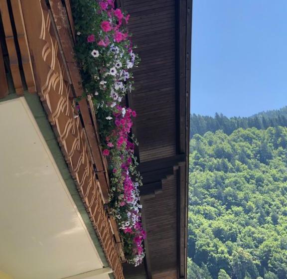 بنسيون Haus Kärnten