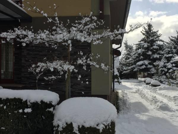 ペンション Holiday Resort švárny