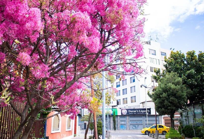 펜션 Hostal Loro Verde