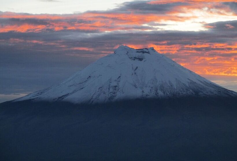 펜션 Hostal Loro Verde