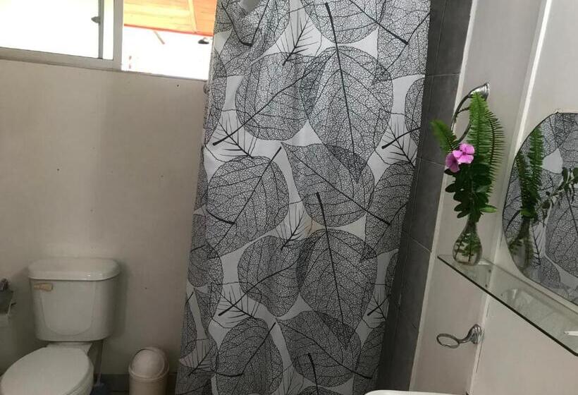 بنسيون Hostal Vaihere