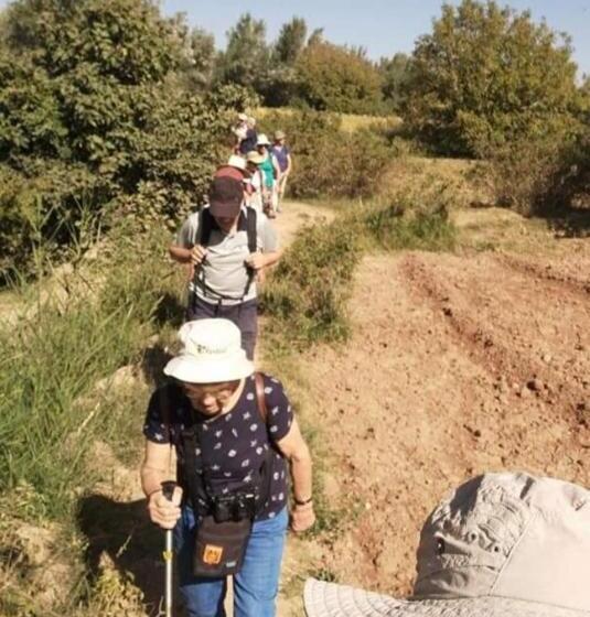 پانسیون Kasbah Ben Ali