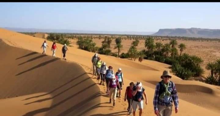 پانسیون Kasbah Ben Ali