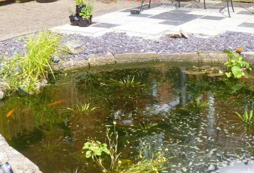 פנסיון Manor View