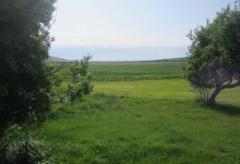 پانسیون Nes Guesthouse