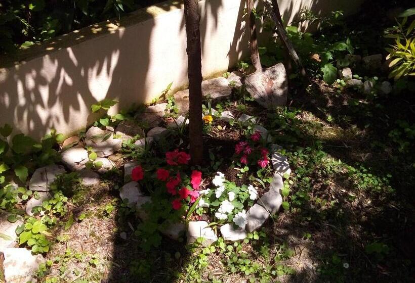 پانسیون Oaza Guest House