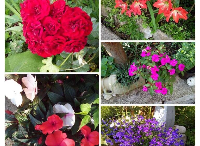 پانسیون Oaza Guest House