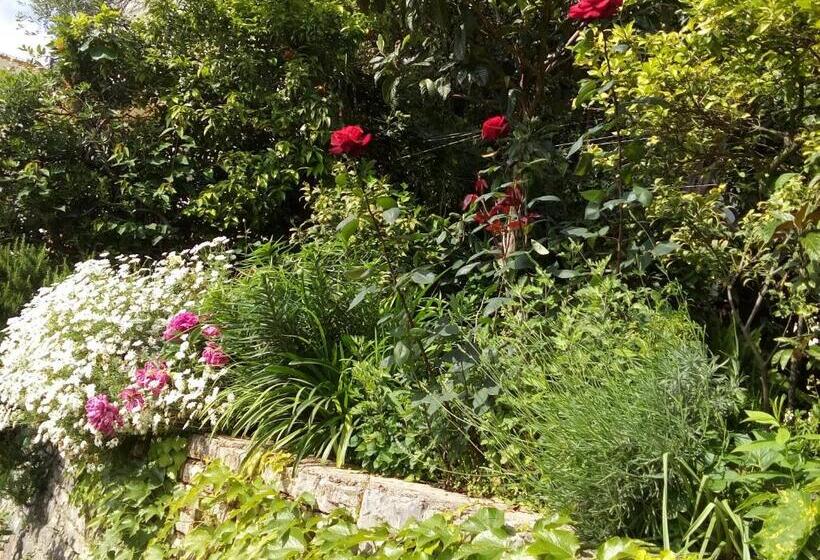 پانسیون Oaza Guest House