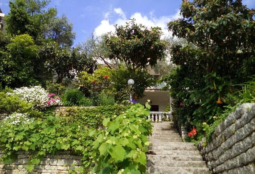 پانسیون Oaza Guest House