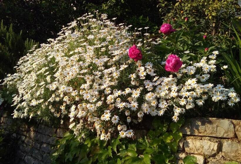 پانسیون Oaza Guest House