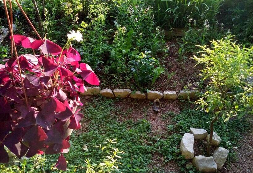 پانسیون Oaza Guest House