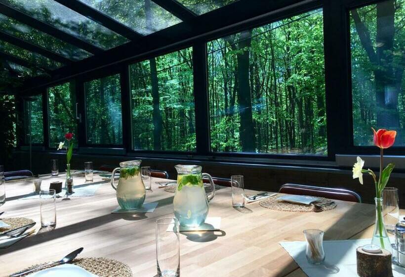 פנסיון Penzión Modrý Dom