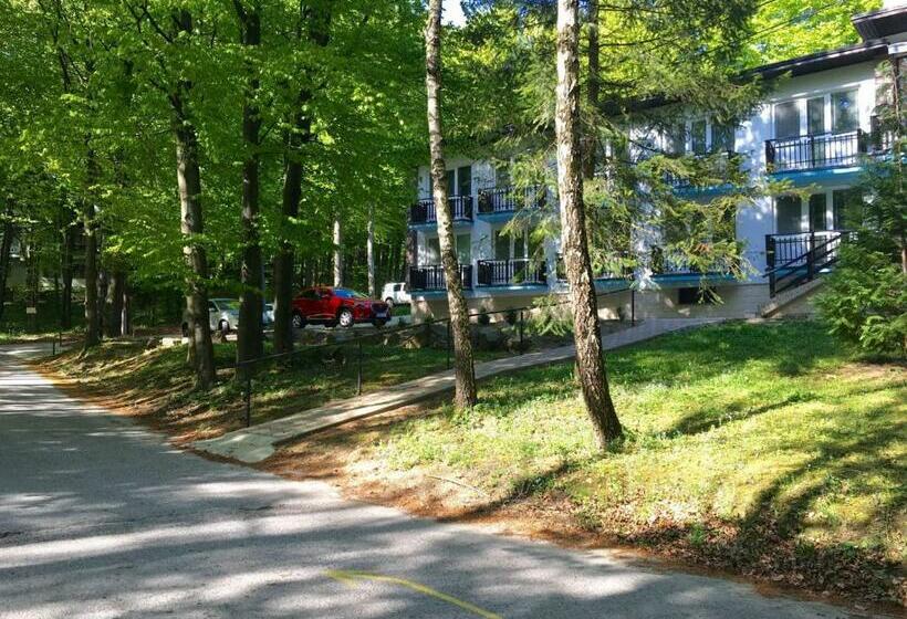 פנסיון Penzión Modrý Dom