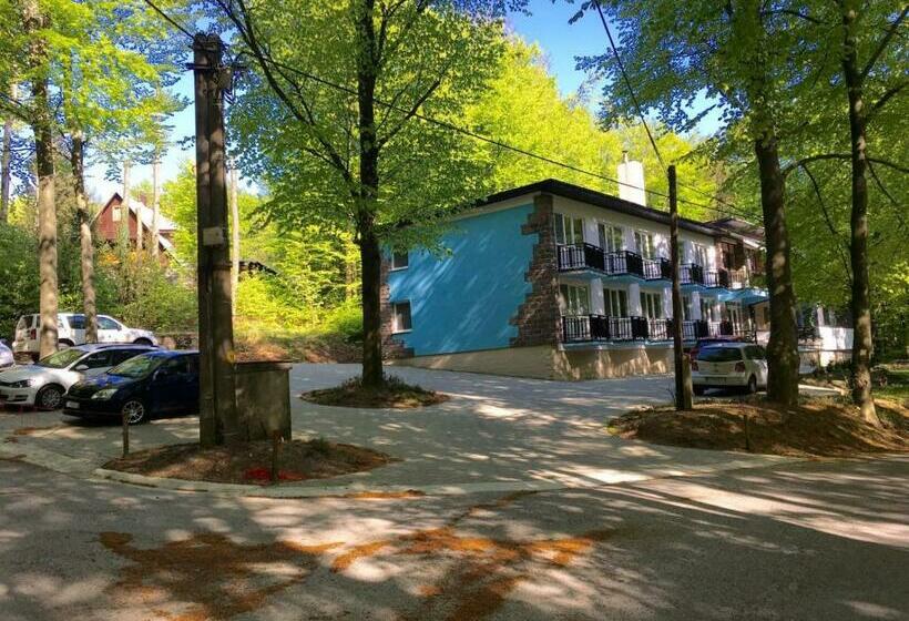 פנסיון Penzión Modrý Dom