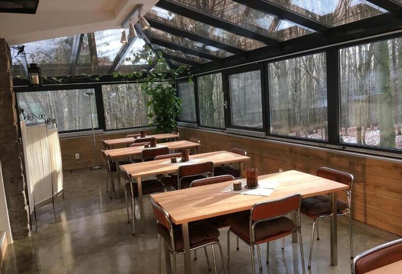 פנסיון Penzión Modrý Dom