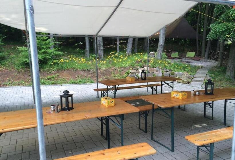 פנסיון Penzión Modrý Dom